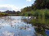IMG_20250817_114437