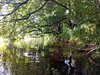 IMG_20250815_133012