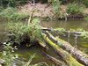 IMG_20250818_124218