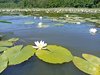 IMG_20250614_123211