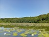 IMG_20250614_123208