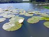 IMG_20250614_124030