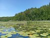 IMG_20250614_122945