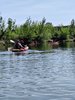 IMG-20250510-WA0003
