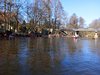 IMG_20250315_103842