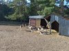 IMG_20250316_090008
