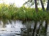 IMG_20250830_101503