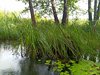 IMG_20250830_101500