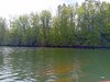 IMG_20260517_120229