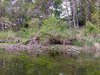 IMG_20260517_124632