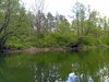 IMG_20260517_124636