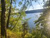 1000016659